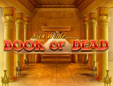 Book of Dead Montecryptos Casino
